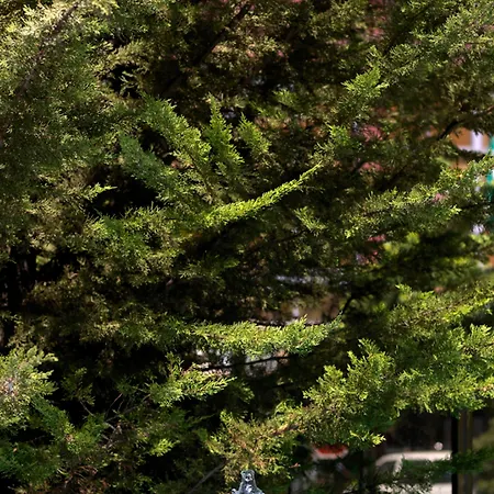 Occidental Viapol Hotel 4*